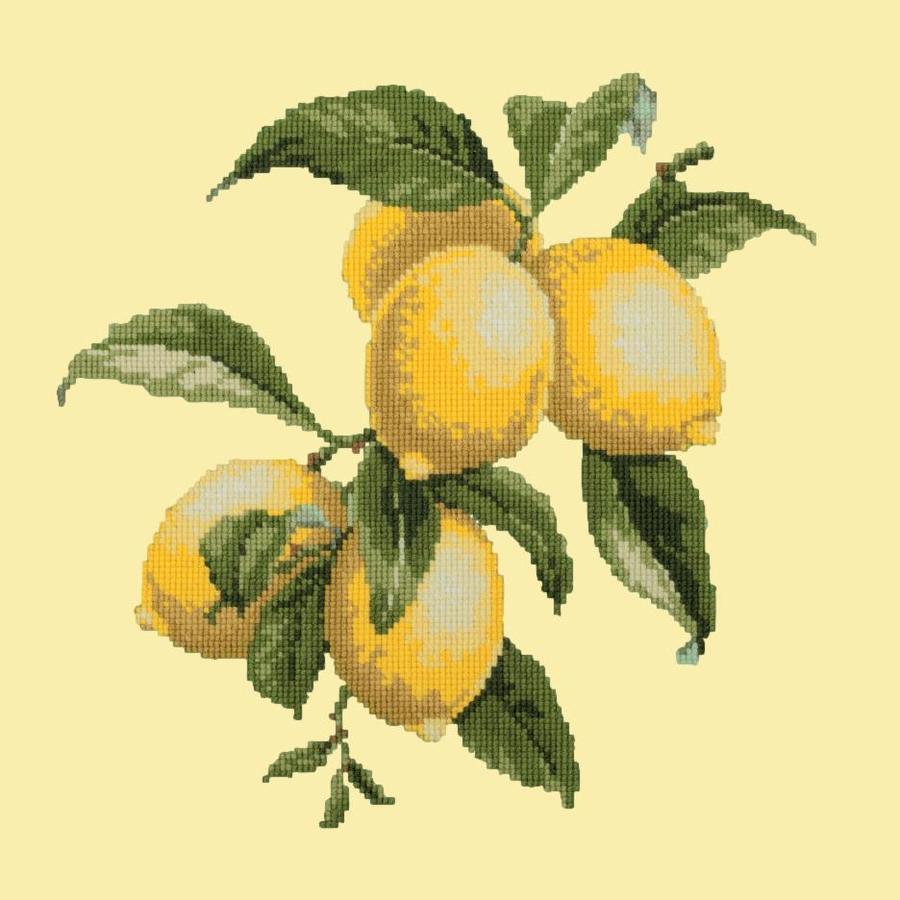Lemons Needlepoint Kit Kits Elizabeth Bradley Design Butter Yellow 

