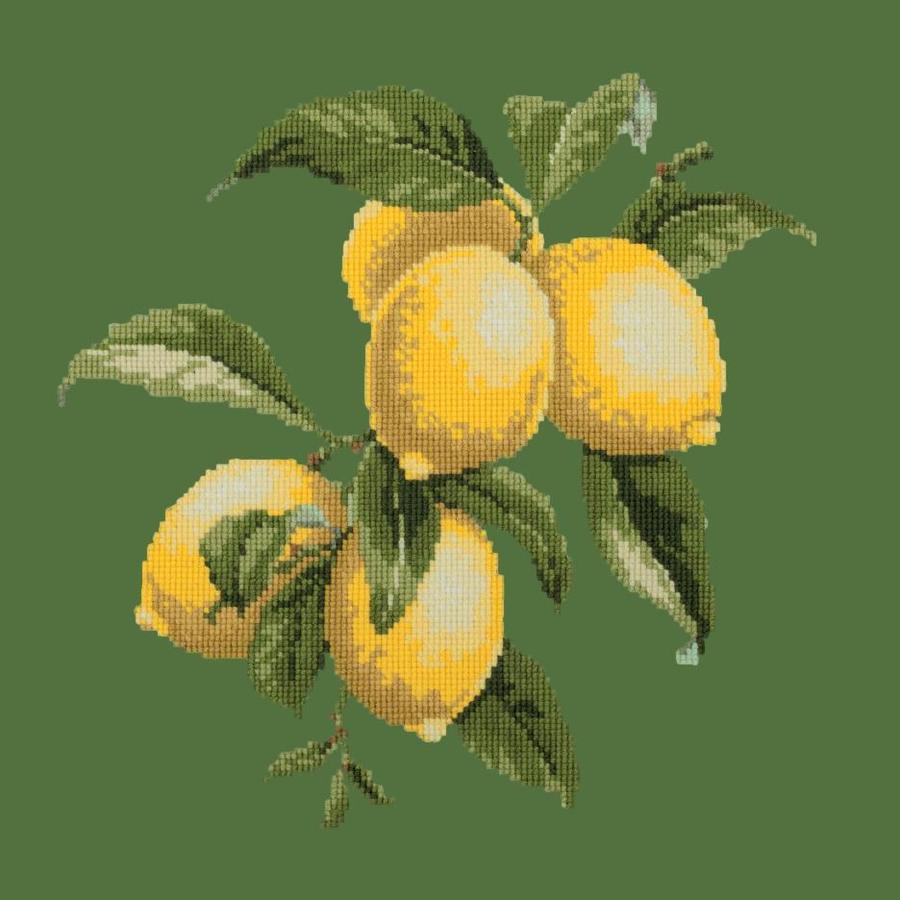 Lemons Needlepoint Kit Kits Elizabeth Bradley Design Dark Green 
