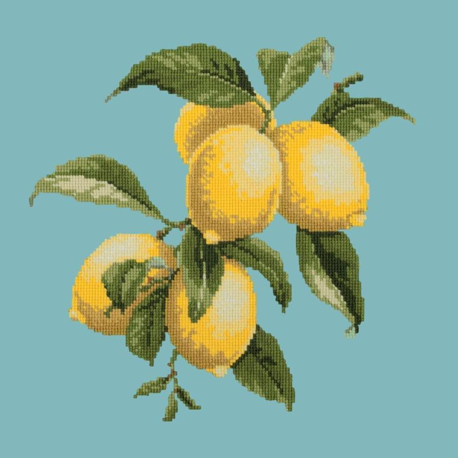Lemons Needlepoint Kit Kits Elizabeth Bradley Design Duck Egg Blue 
