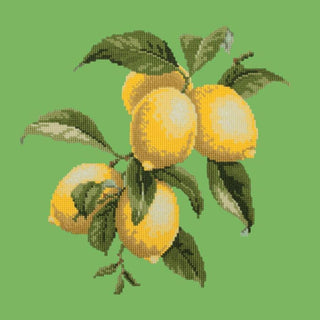 Lemons Needlepoint Kit Kits Elizabeth Bradley Design Grass Green 
