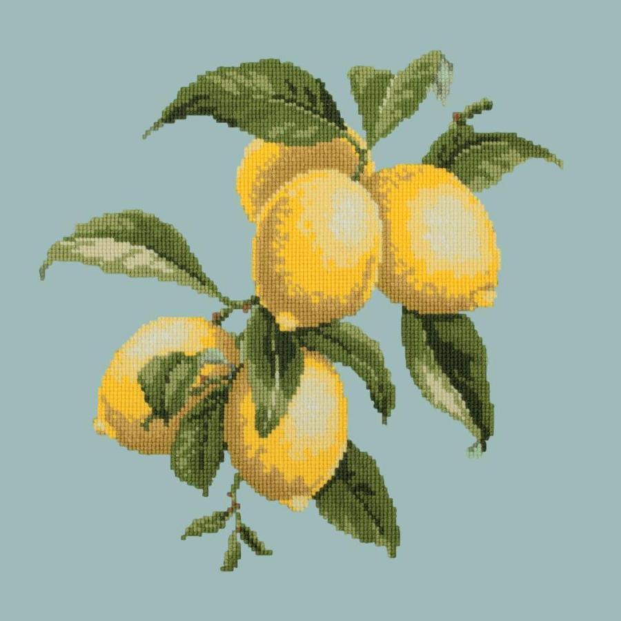 Lemons Needlepoint Kit Kits Elizabeth Bradley Design Pale Blue 

