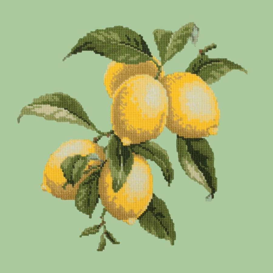 Lemons Needlepoint Kit Kits Elizabeth Bradley Design Pale Green 
