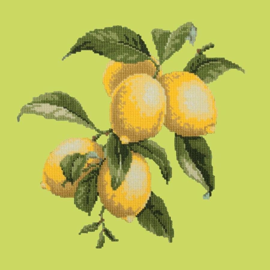Lemons Needlepoint Kit Kits Elizabeth Bradley Design Pale Lime 

