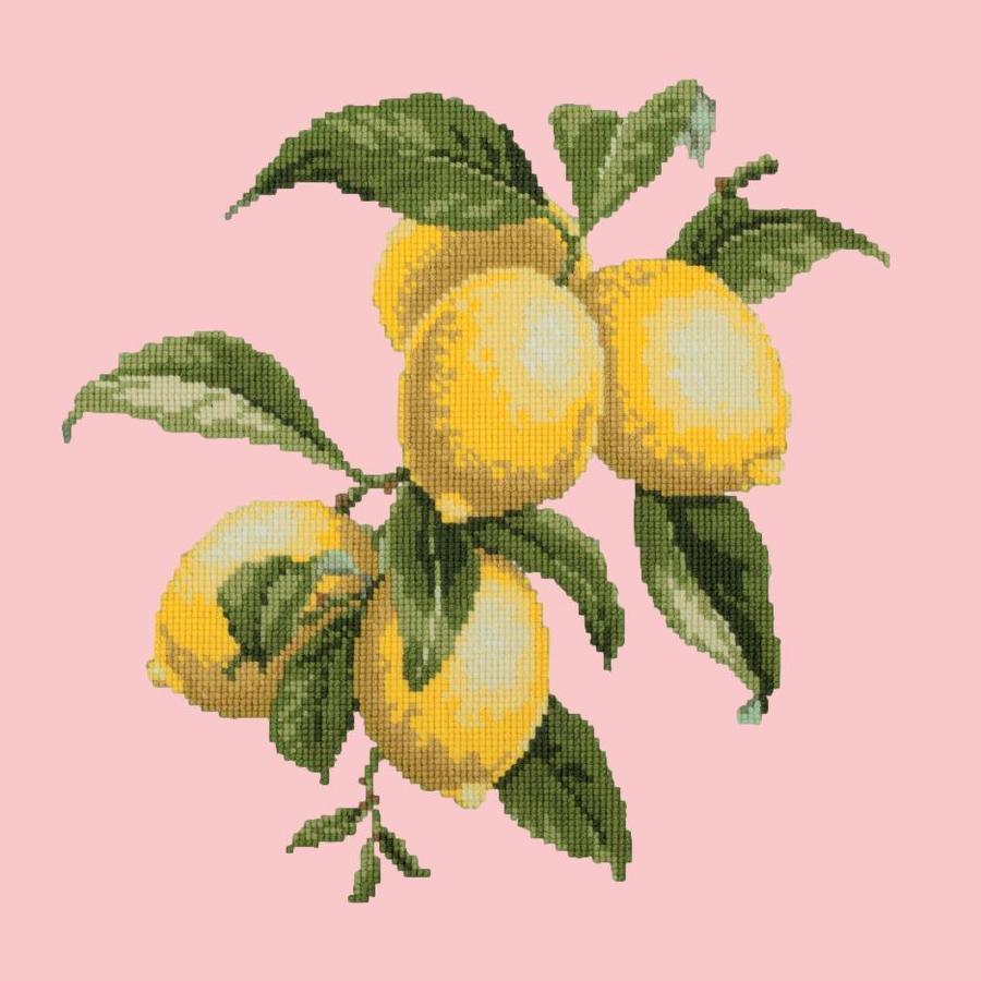 Lemons Needlepoint Kit Kits Elizabeth Bradley Design Pale Rose 