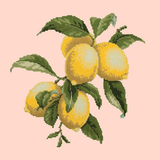 Lemons Needlepoint Kit Kits Elizabeth Bradley Design Salmon Pink 
