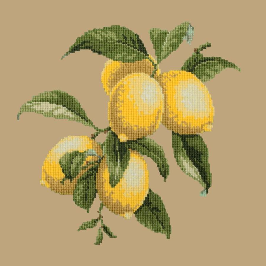 Lemons Needlepoint Kit Kits Elizabeth Bradley Design Sand 
