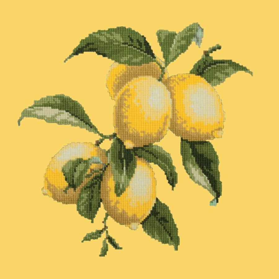 Lemons Needlepoint Kit Kits Elizabeth Bradley Design Sunflower Yellow 