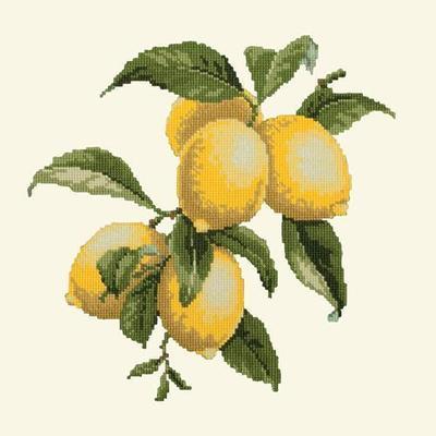Lemons Needlepoint Kit Kits Elizabeth Bradley Design Winter White 
