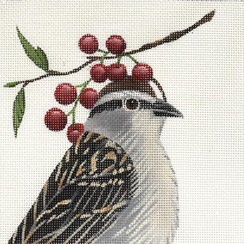 Leo - The Chipping Sparrow Painted Canvas Vicky Sawyer 