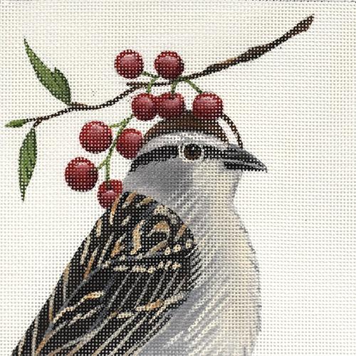 Leo   The Chipping Sparrow Painted Canvas Vicky Sawyer  - 1