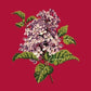 Lilac Needlepoint Kit Kits Elizabeth Bradley Design Bright Red 