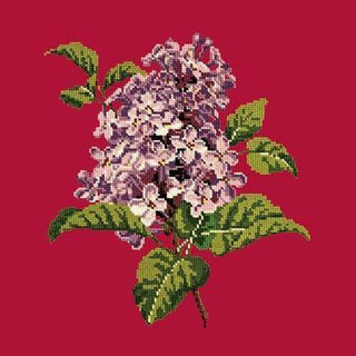 Lilac Needlepoint Kit Kits Elizabeth Bradley Design Bright Red 
