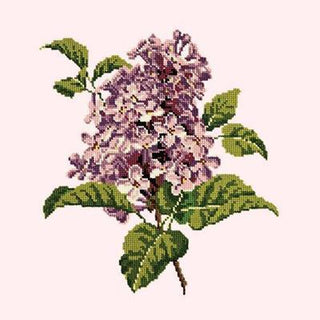 Lilac Needlepoint Kit Kits Elizabeth Bradley Design Cream 
