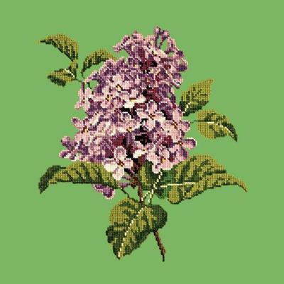 Lilac Needlepoint Kit Kits Elizabeth Bradley Design Grass Green 
