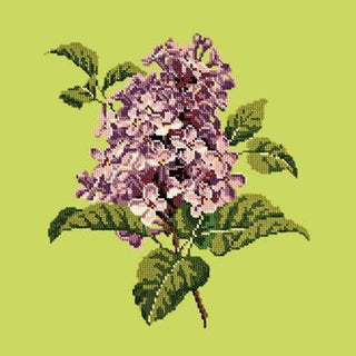 Lilac Needlepoint Kit Kits Elizabeth Bradley Design Pale Lime 
