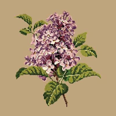 Lilac Needlepoint Kit Kits Elizabeth Bradley Design Sand 

