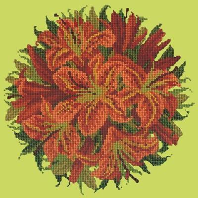 Lily Ball Needlepoint Kit Kits Elizabeth Bradley Design Pale Lime 

