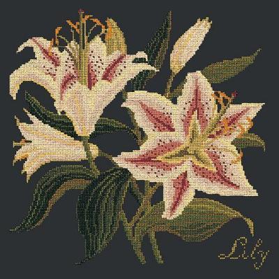 Lily Needlepoint Kit Kits Elizabeth Bradley Design Black 