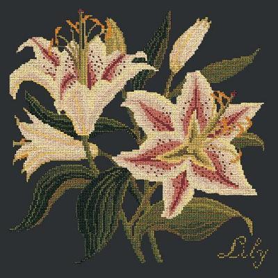Lily Needlepoint Kit Kits Elizabeth Bradley Design Black 

