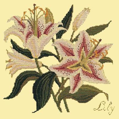 Lily Needlepoint Kit Kits Elizabeth Bradley Design Butter Yellow 
