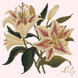 Lily Needlepoint Kit Kits Elizabeth Bradley Design Cream 

