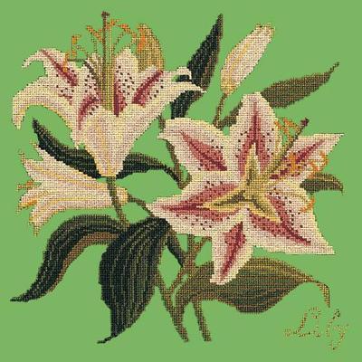 Lily Needlepoint Kit Kits Elizabeth Bradley Design Grass Green 
