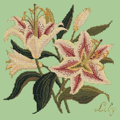 Lily Needlepoint Kit Kits Elizabeth Bradley Design Pale Green 
