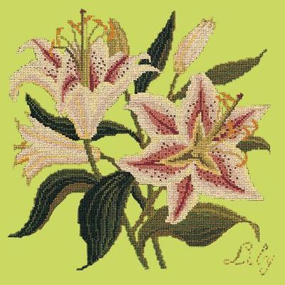 Lily Needlepoint Kit Kits Elizabeth Bradley Design Pale Lime 
