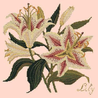 Lily Needlepoint Kit Kits Elizabeth Bradley Design Salmon Pink 
