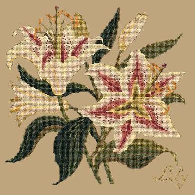 Lily Needlepoint Kit Kits Elizabeth Bradley Design Sand 