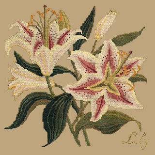 Lily Needlepoint Kit Kits Elizabeth Bradley Design Sand 
