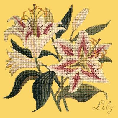 Lily Needlepoint Kit Kits Elizabeth Bradley Design Sunflower Yellow 