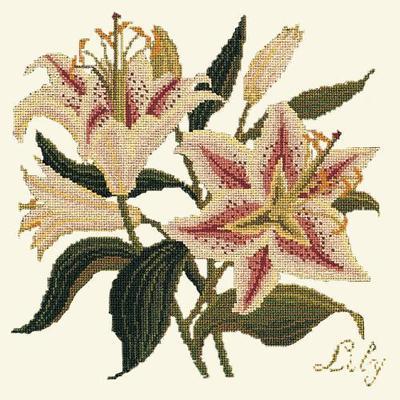 Lily Needlepoint Kit Kits Elizabeth Bradley Design Winter White 

