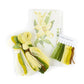Lily Starter Kit Needlecraft Kits Elizabeth Bradley Design 