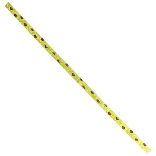Lime and Red Patterned Belt Painted Canvas Colors of Praise 