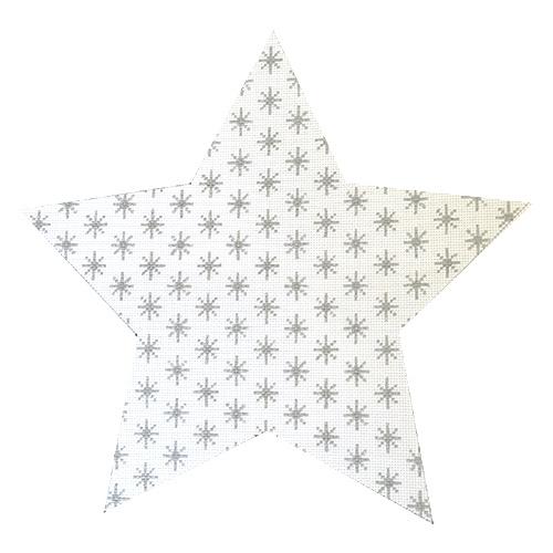 Lisa's TT Star on 18 Silver Painted Canvas Whimsy & Grace 