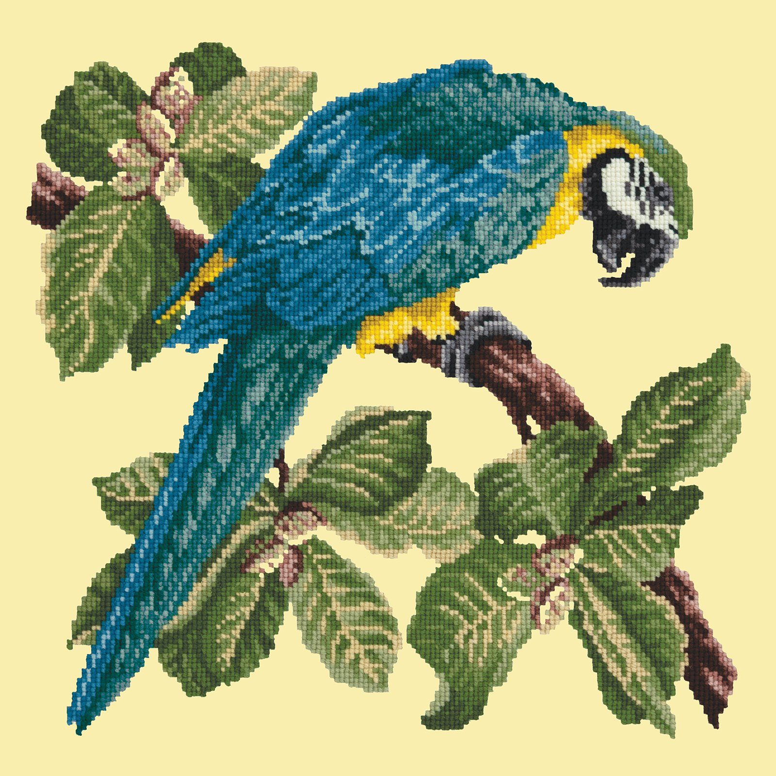 Macaw Needlepoint Kit Kits Elizabeth Bradley Design 
