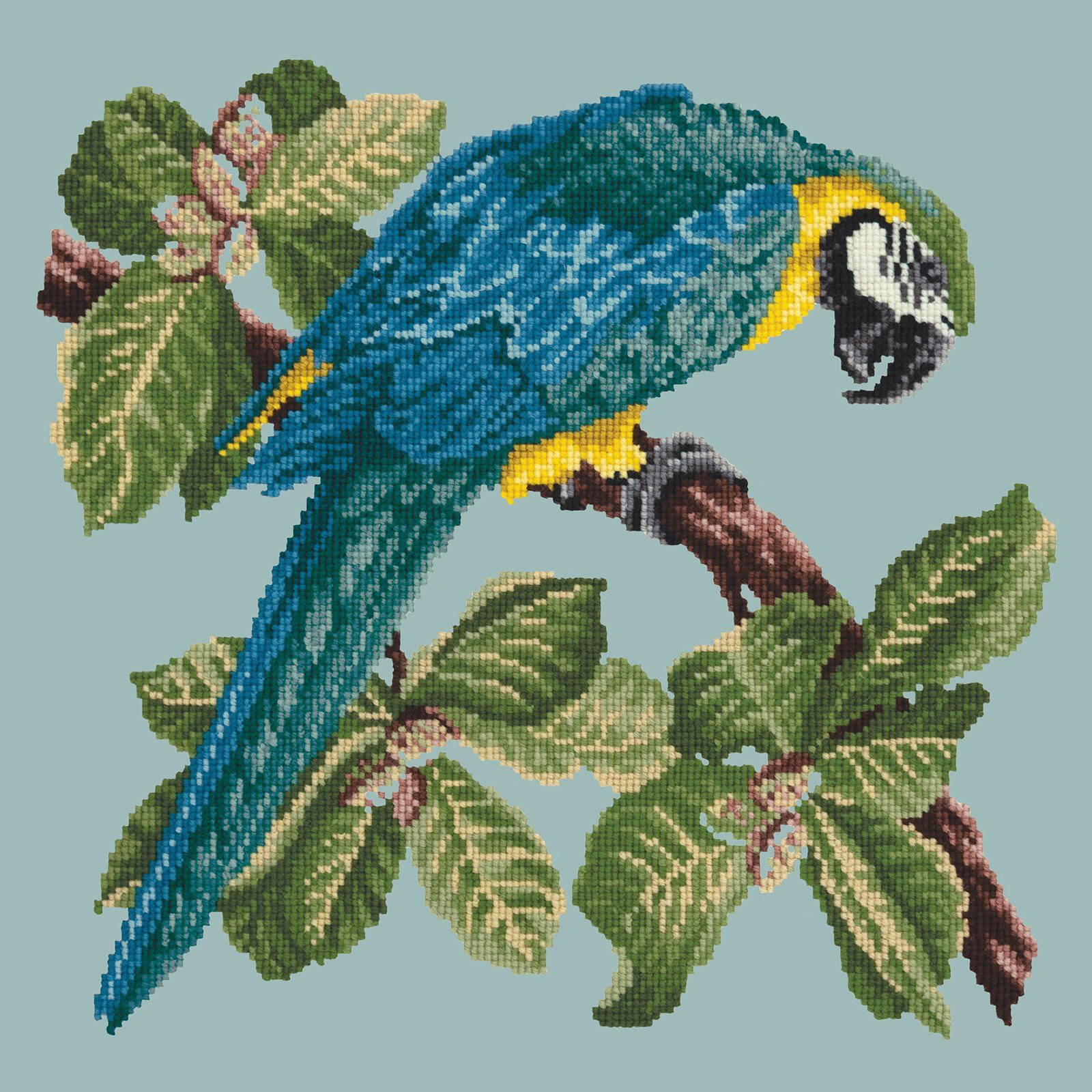 Macaw Needlepoint Kit Kits Elizabeth Bradley Design 
