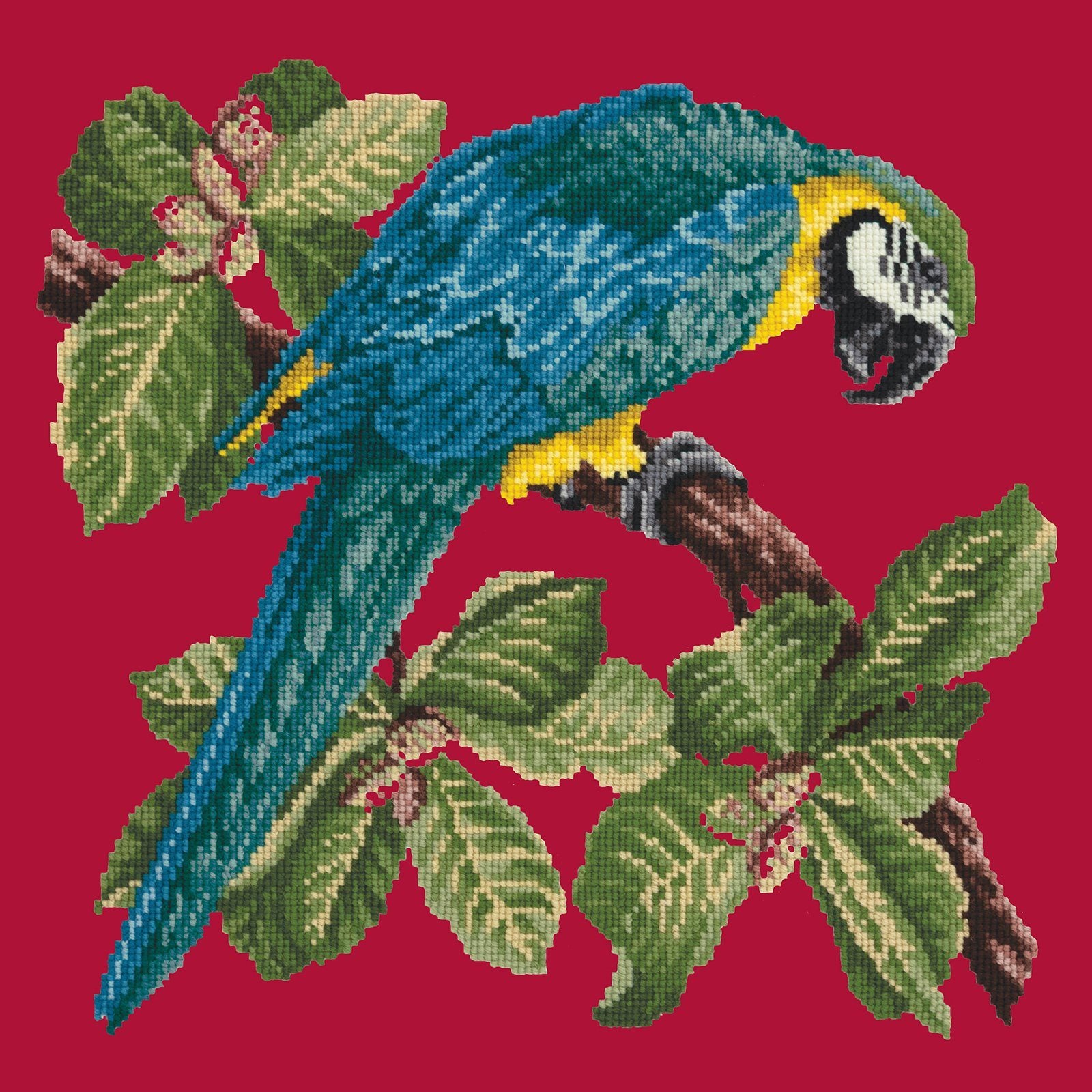 Macaw Needlepoint Kit Kits Elizabeth Bradley Design 
