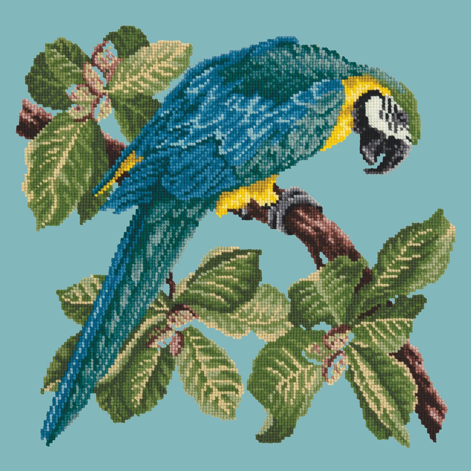 Macaw Needlepoint Kit Kits Elizabeth Bradley Design 
