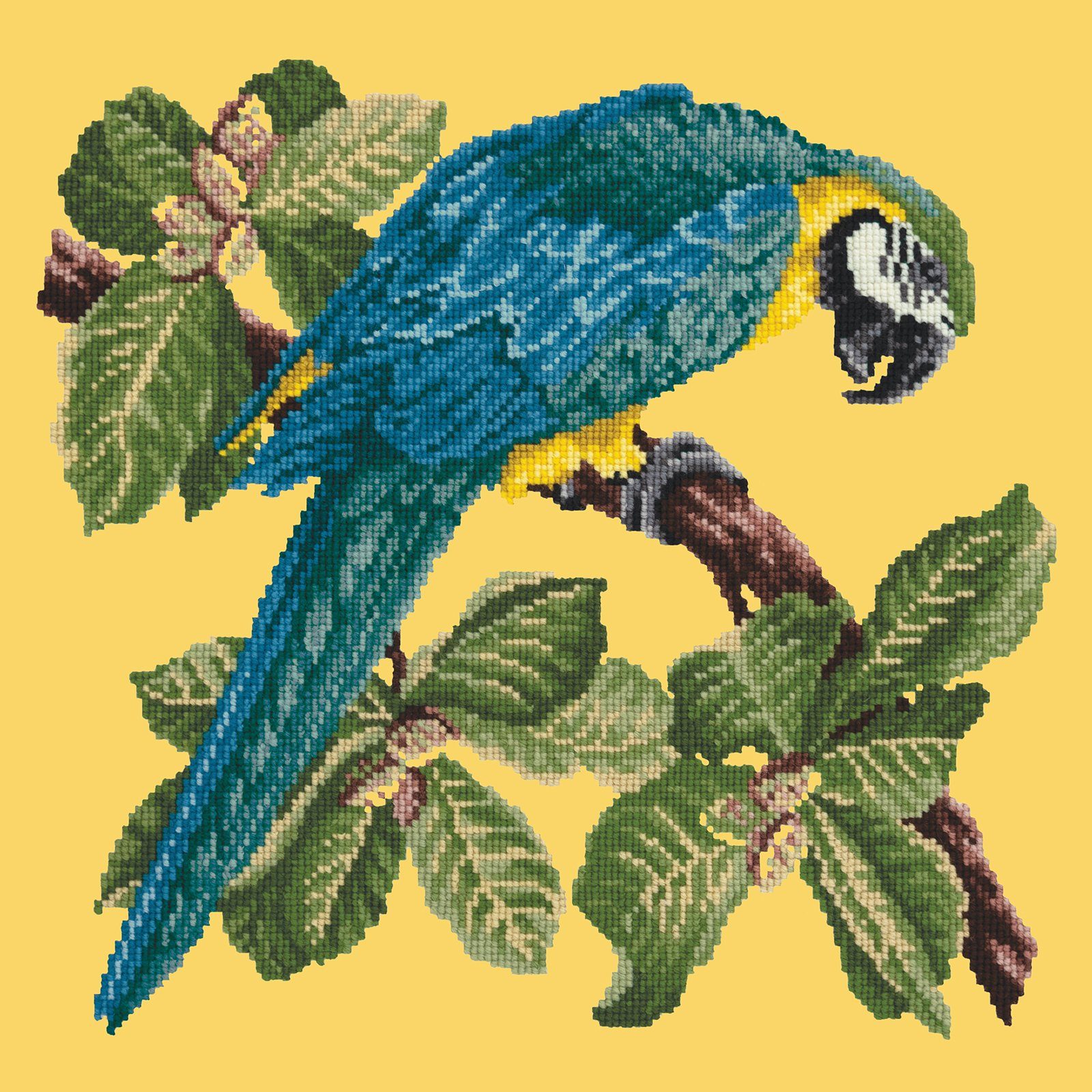 Macaw Needlepoint Kit Kits Elizabeth Bradley Design 
