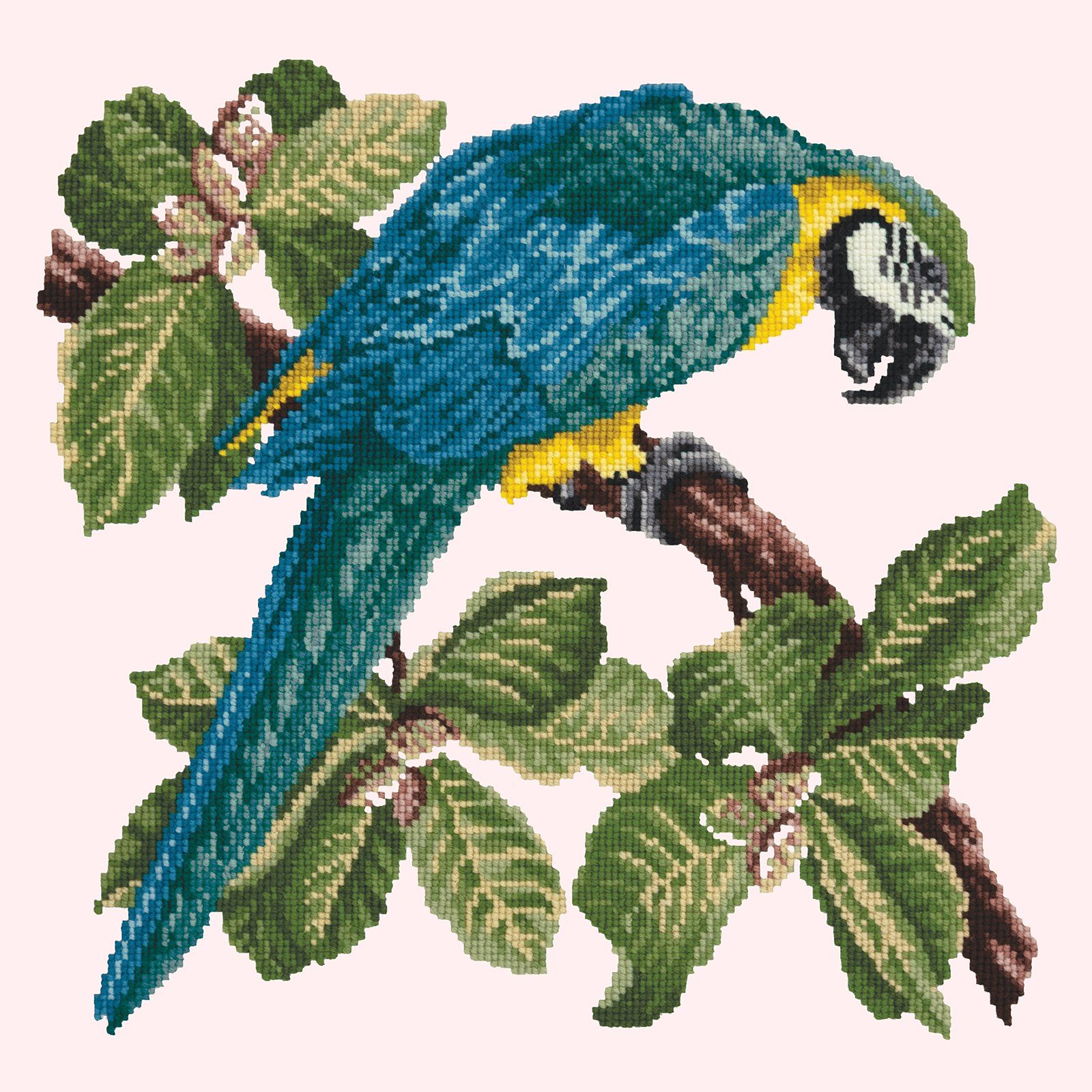 Macaw Needlepoint Kit Kits Elizabeth Bradley Design 
