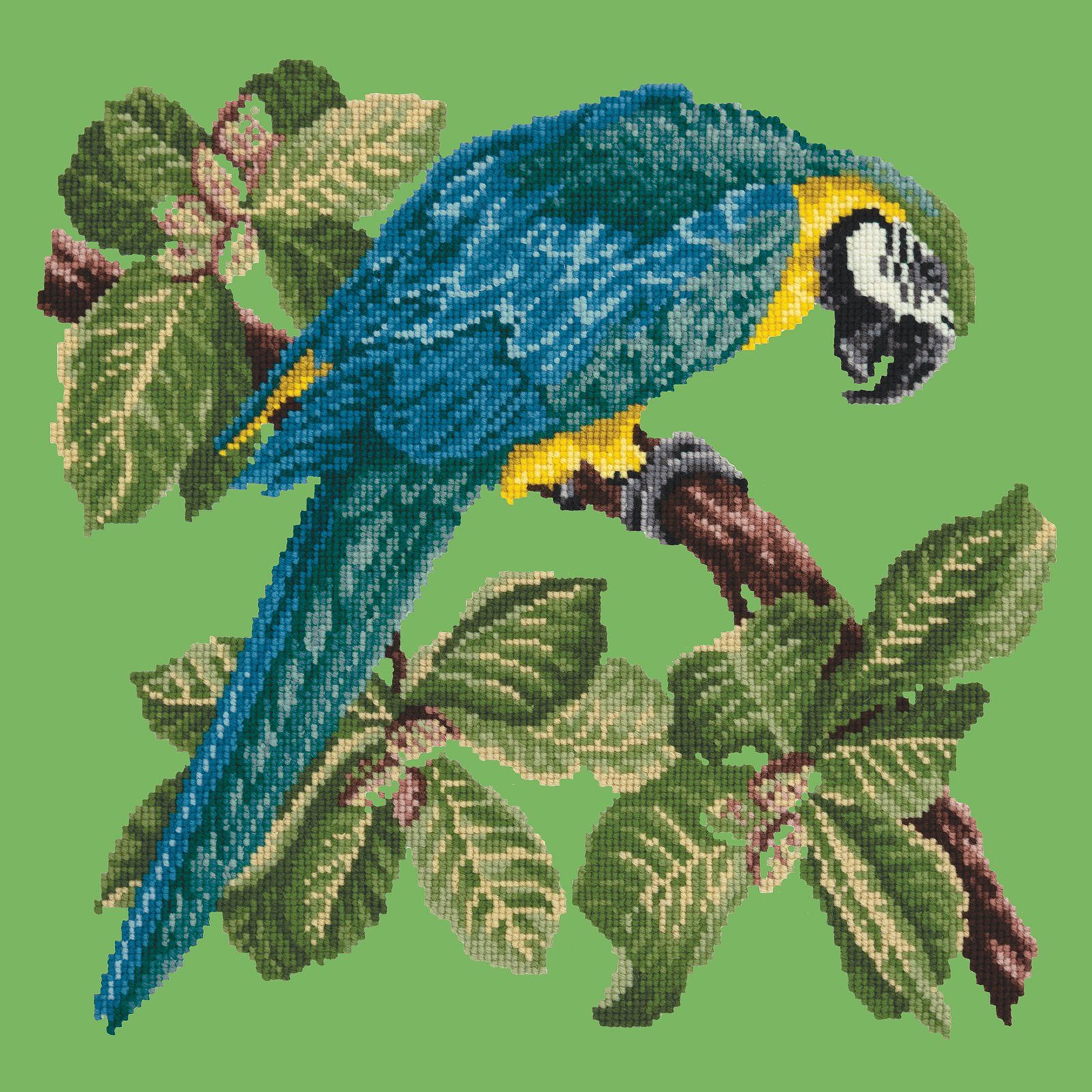 Macaw Needlepoint Kit Kits Elizabeth Bradley Design 
