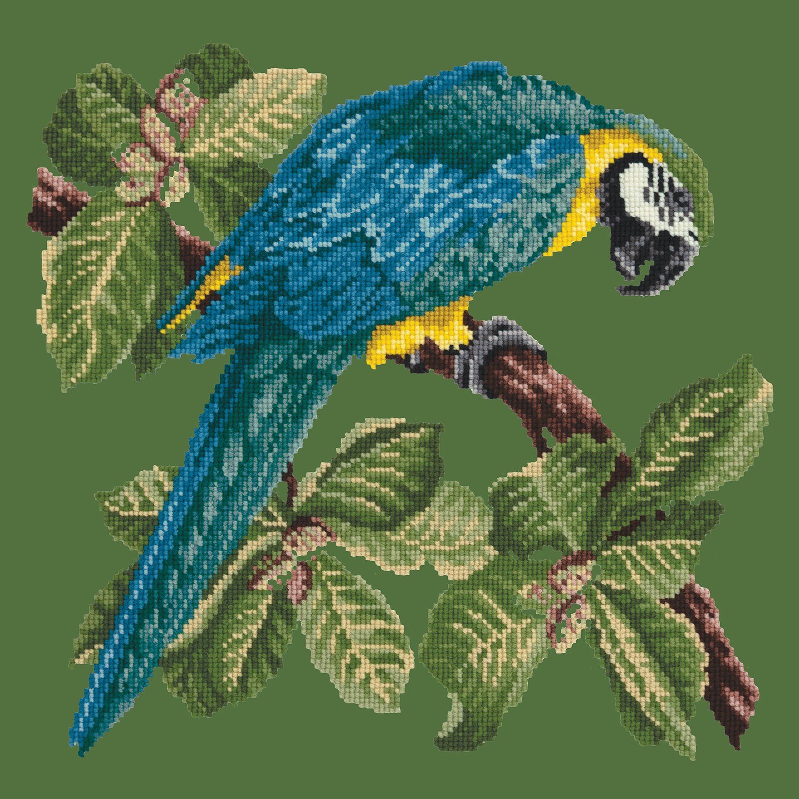 Macaw Needlepoint Kit Kits Elizabeth Bradley Design 
