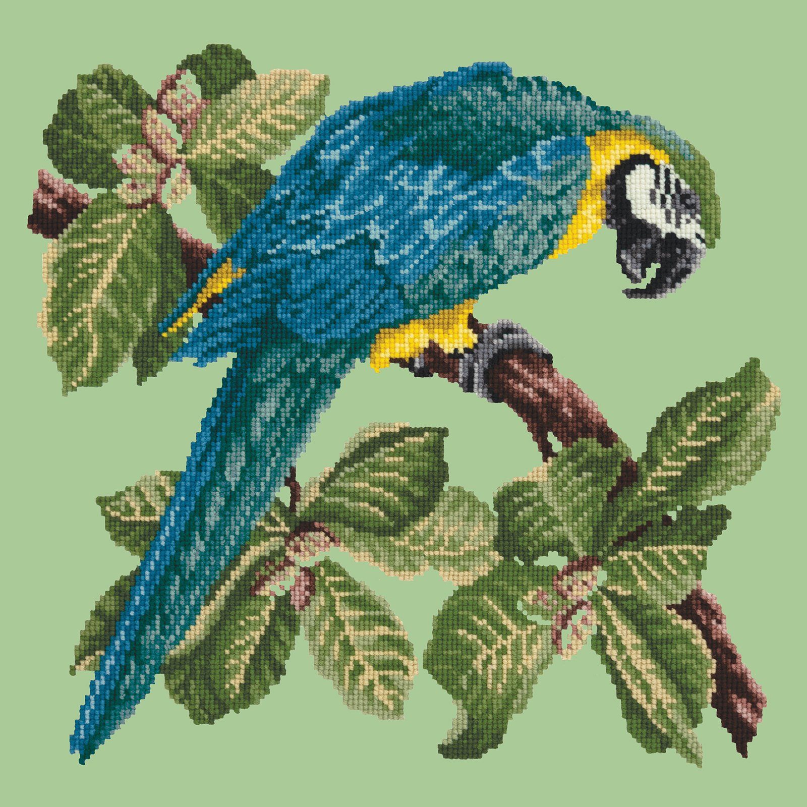 Macaw Needlepoint Kit Kits Elizabeth Bradley Design 
