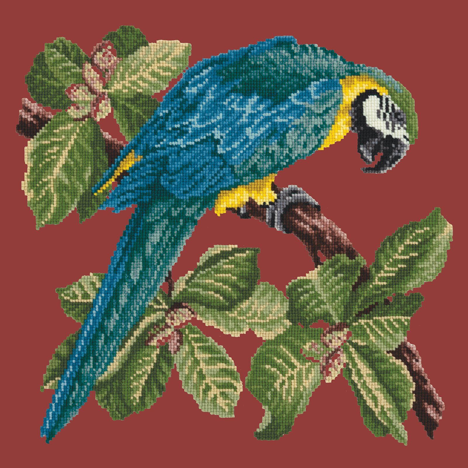 Macaw Needlepoint Kit Kits Elizabeth Bradley Design 
