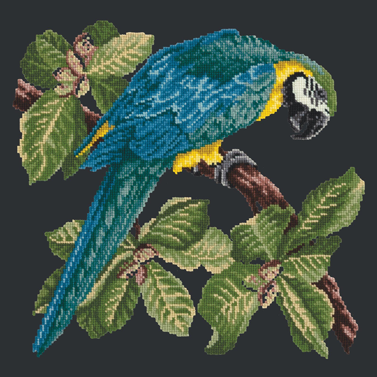 Macaw Needlepoint Kit Kits Elizabeth Bradley Design 
