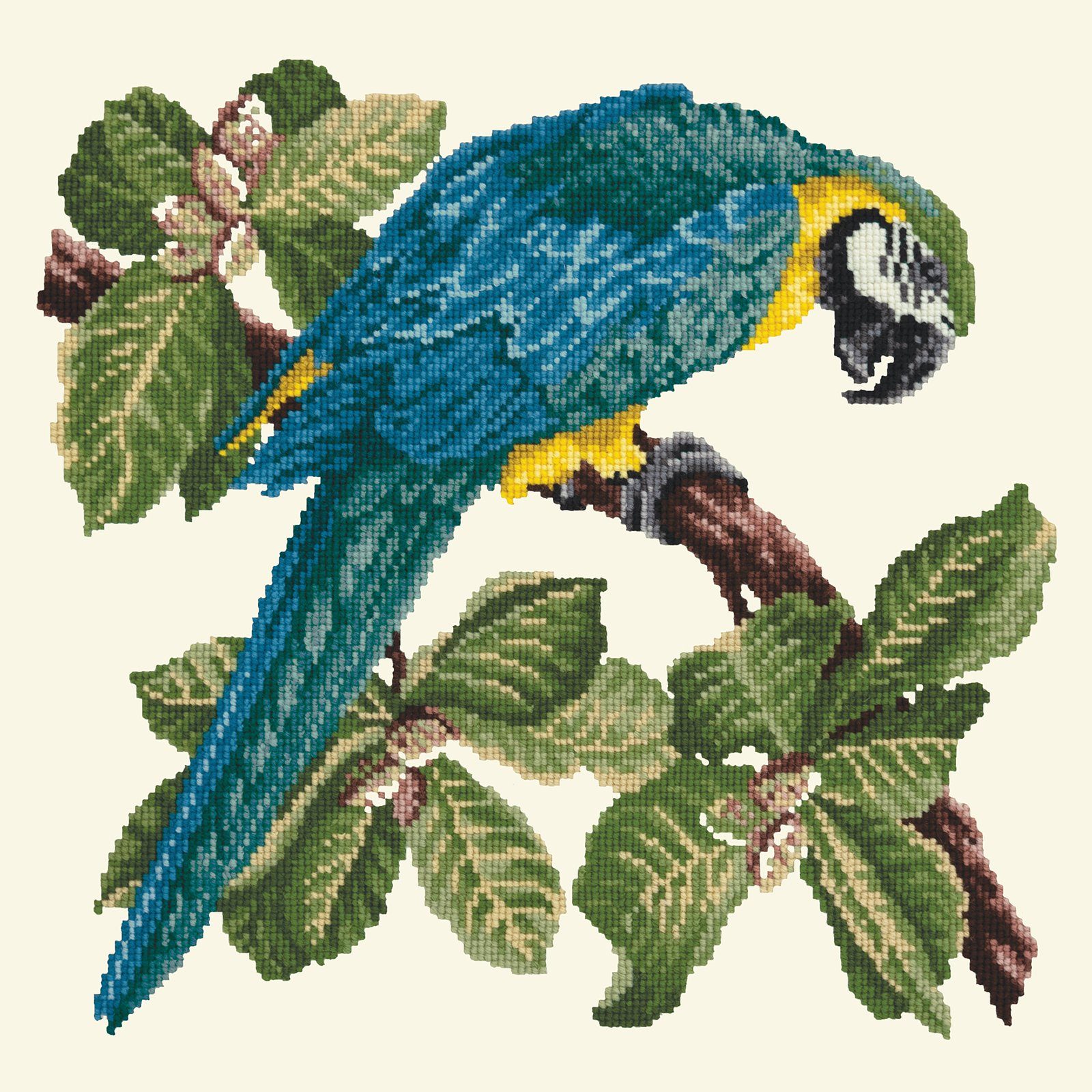 Macaw Needlepoint Kit Kits Elizabeth Bradley Design 
