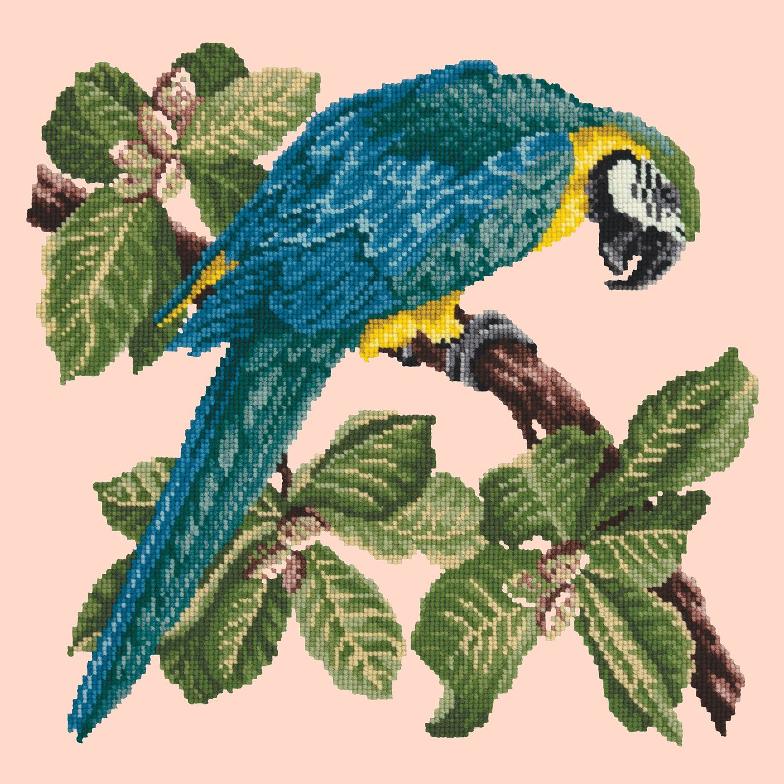 Macaw Needlepoint Kit Kits Elizabeth Bradley Design 
