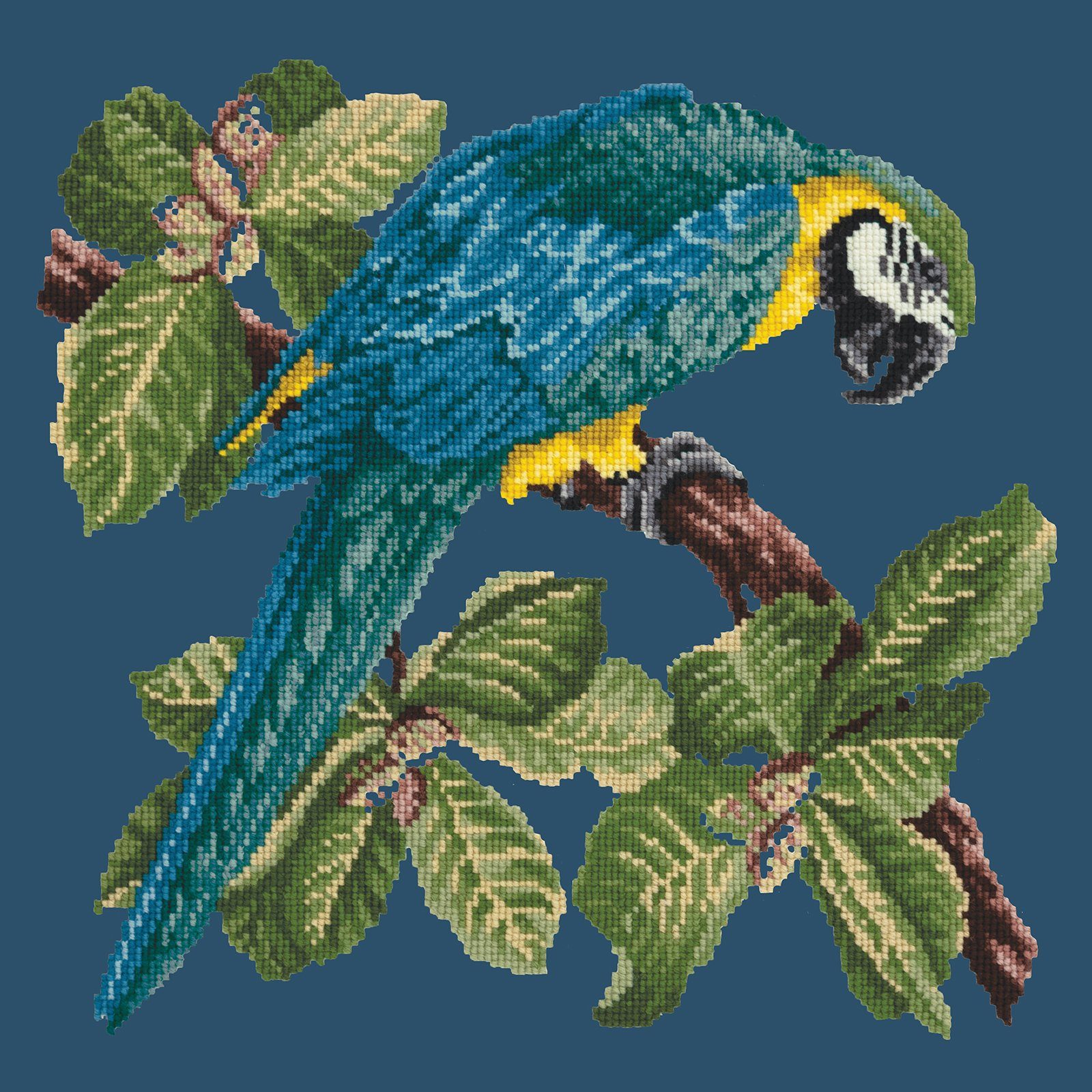 Macaw Needlepoint Kit Kits Elizabeth Bradley Design 
